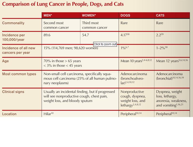 [tabla+comparacion+humano+perro+gato+tumores+pulmonares1.jpg]