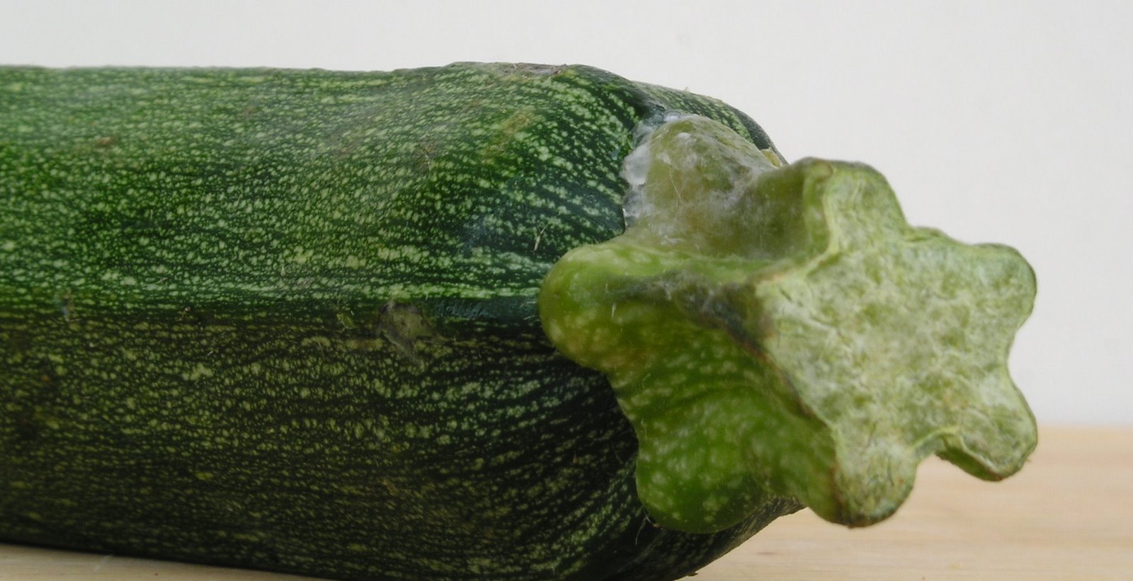 [zucchinaa1.JPG]