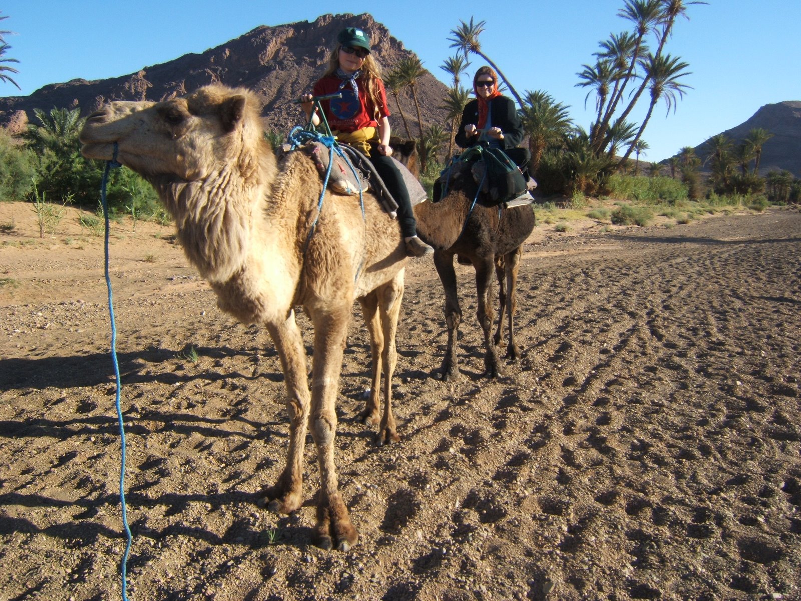 [desert+Akiva+Cathy+camels.JPG]