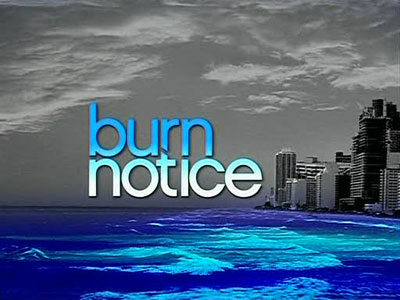 [BurnNotice_Logo.jpg]