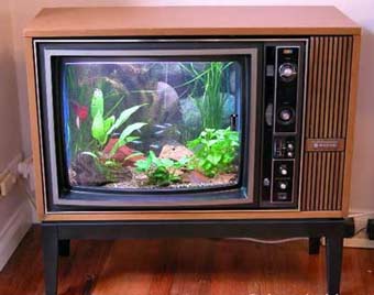 [aquarium-TV.jpg]