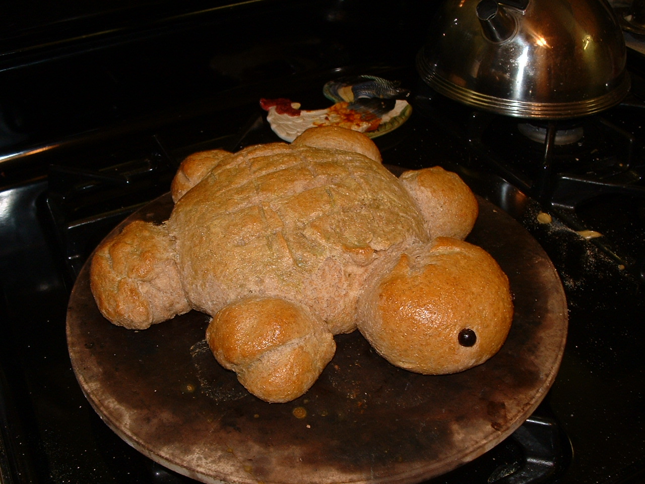 [turtle+bread+march+011.jpg]