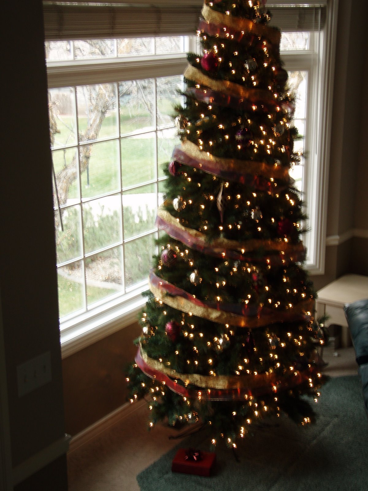 [Christmas+Tree.JPG]