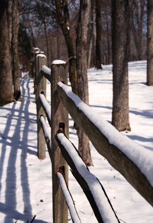 [snow_fence_forweb.jpg]