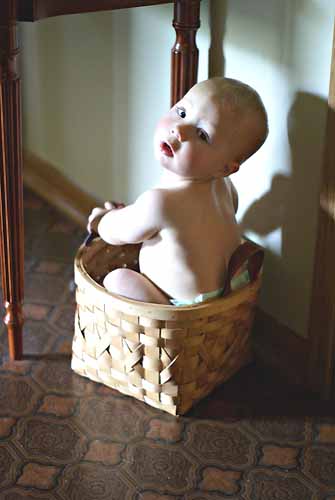 [baby+in+basket.jpg]