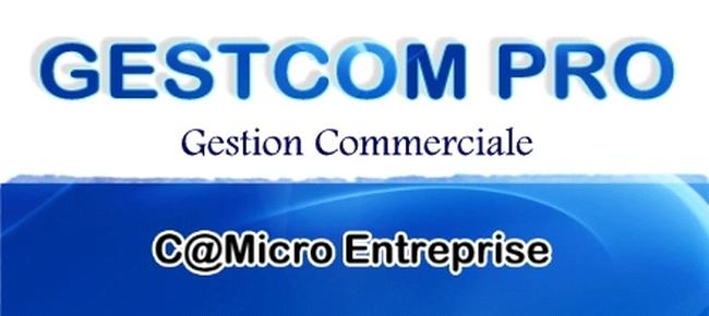 [Logo-Gestcom.jpg]