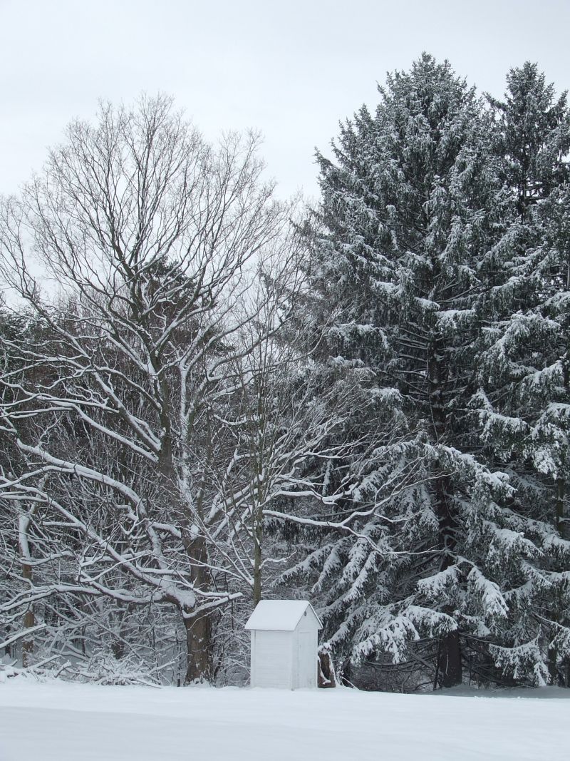 [Outhouse+in+snow2.jpg]