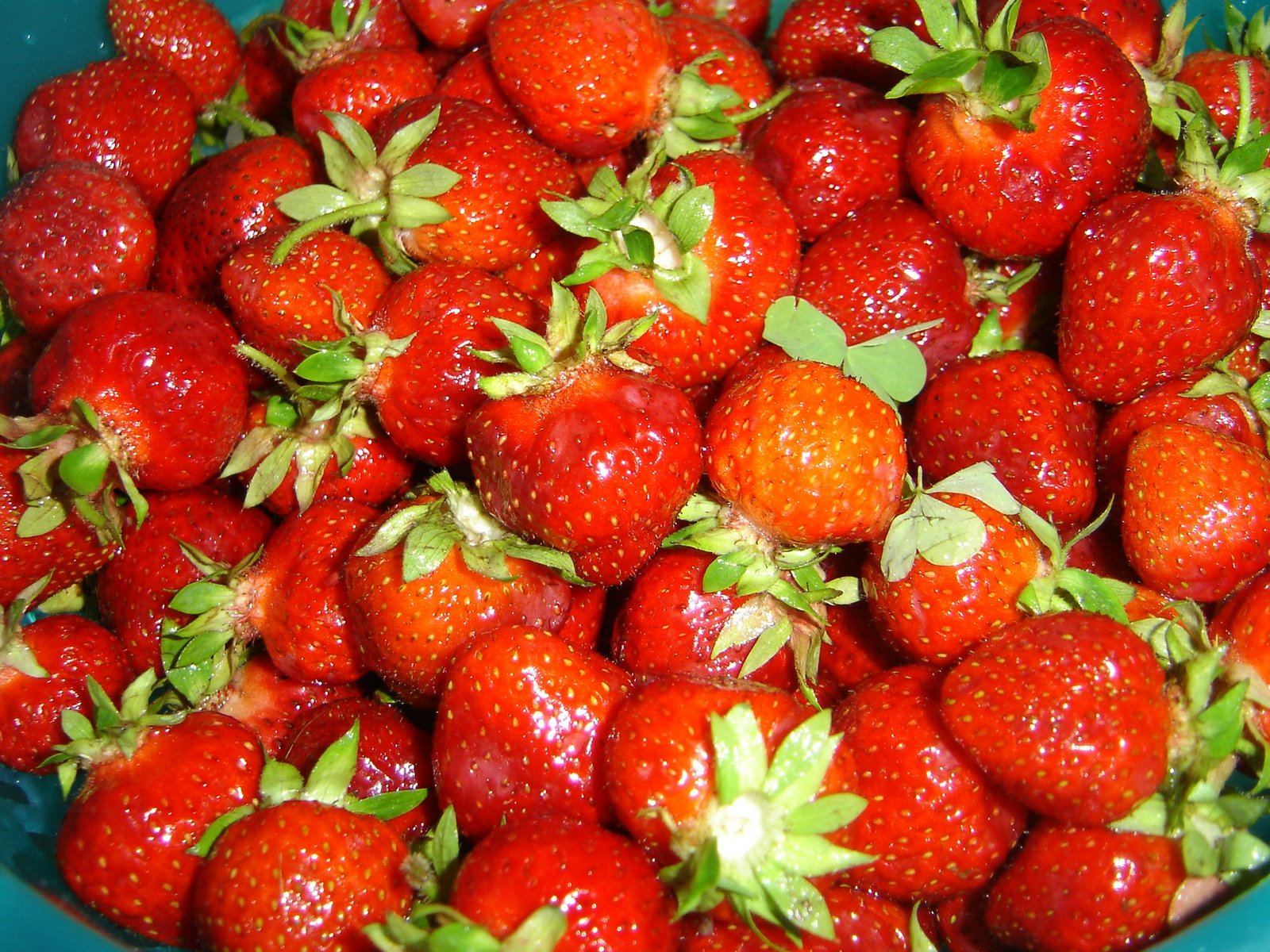 [Strawberries2.jpg]