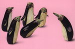 [penguini+eggplant.jpg]