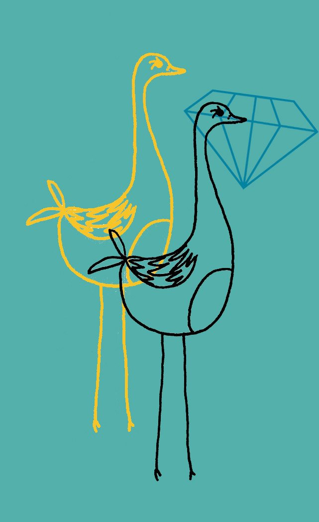 [birddiamond.jpg]