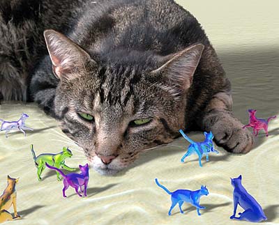 [what_cats_really_see_real_cat_with_colored_graphics.jpg]