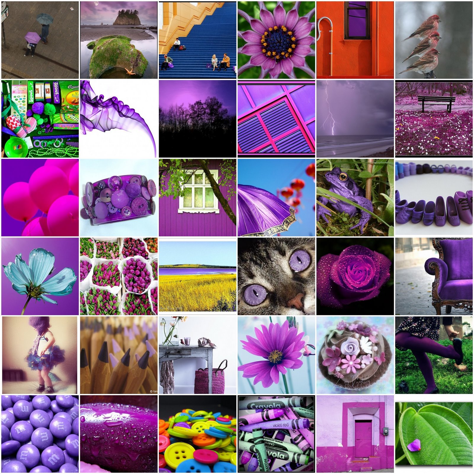 [purple+mosaic.jpg]