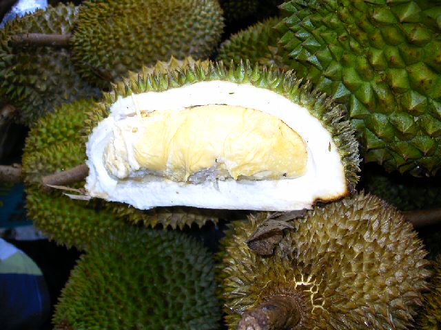 [Durian+001.jpg]