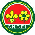 [CNGEI+logo.jpg]