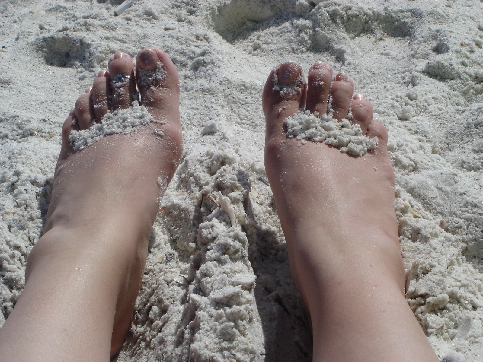 [Sandy+Toes+At+The+Beach+-+04+27+08.jpg]