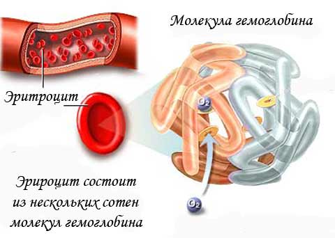 как повысить гемоглобин, лечение анемии, анимия, причины анемии, анемия питание