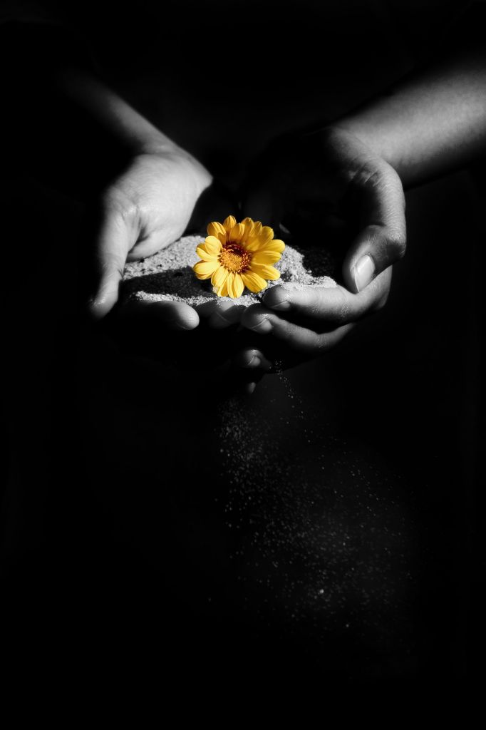 [healingflower.jpg]