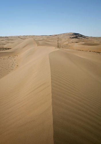 [Kobqi-Desert-(3).jpg]