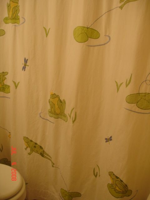 [frog+bath.jpg]