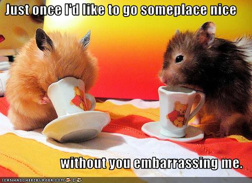 [funny-pictures-hamsters-are-embarrassed.jpg]