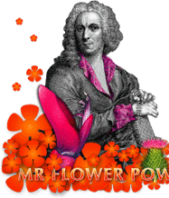 [Mr+Flower+power.gif]