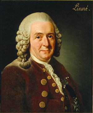 [Carolus_Linnaeus.jpg]
