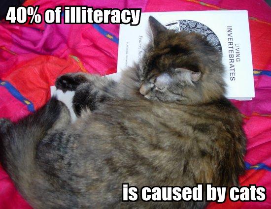 [40-of-illiteracy-is-caused-by-cats.jpg]