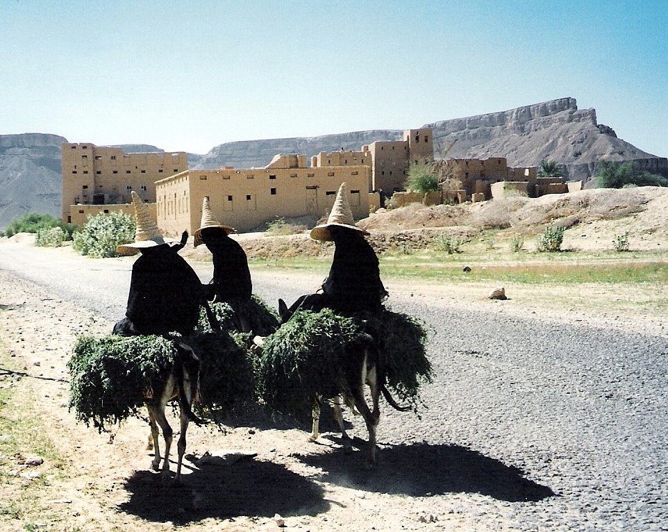 [1997-11+Yemen_001_024.jpg]