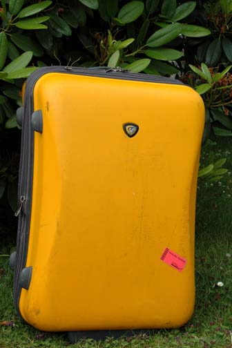 [Yellow+suitcase.jpg]