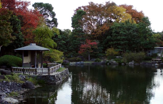 [autumn+shirotori+garden]