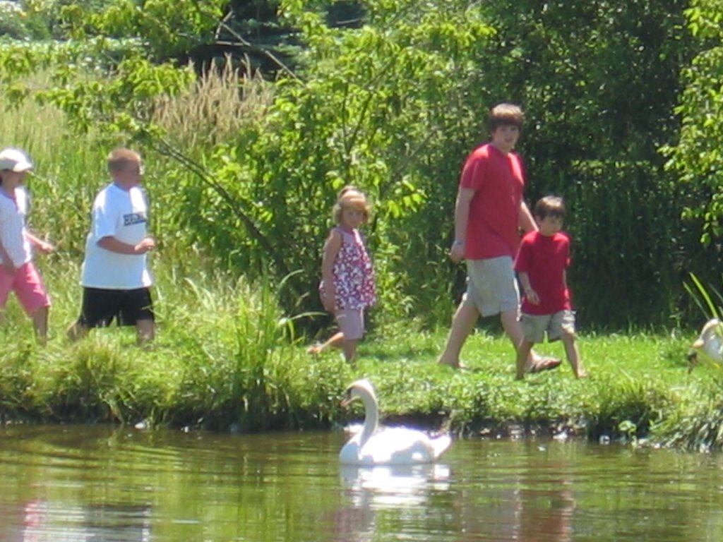 [kids+walking+by+pond.JPG]