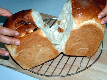 [bread-19.gif]