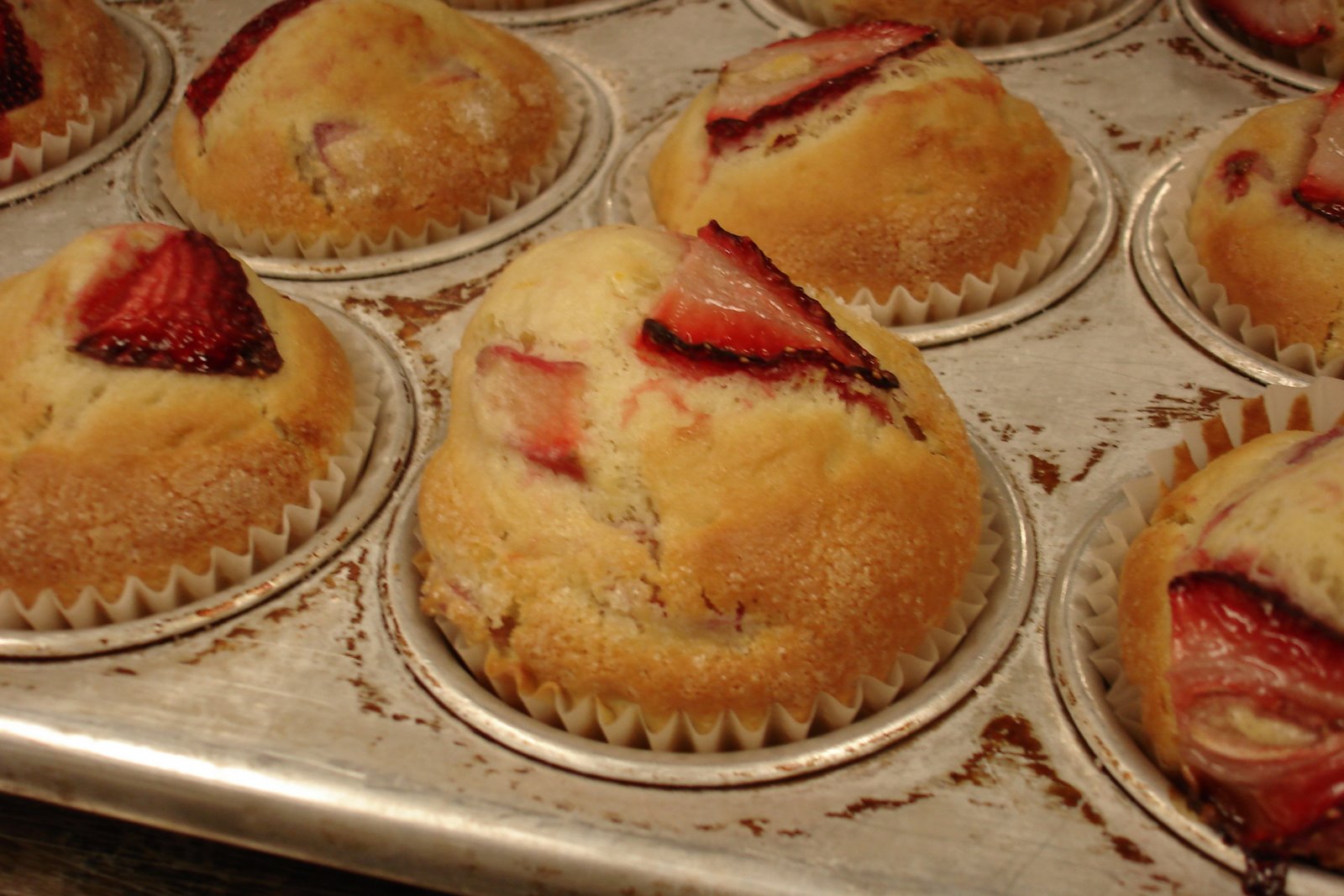 [rhubarb+strawberry+muffins+004.jpg]
