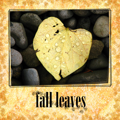 [Fall-Leaves.jpg]