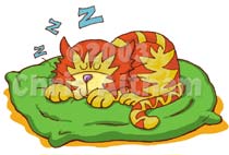 [Sleepy_Cat.jpg]