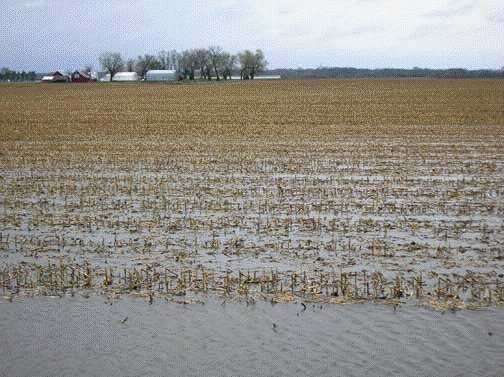 [Iowa+flooded+field.bmp]