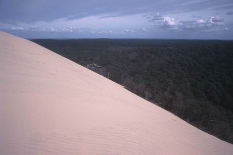 [dune3.jpg]