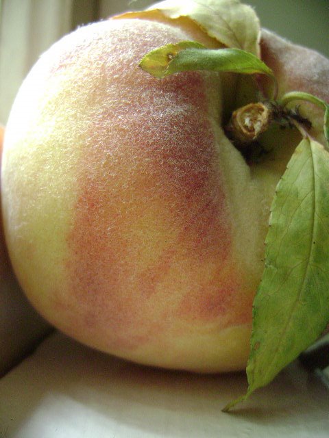 [peach1]