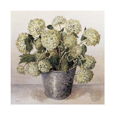 [Gelder-Rose-in-Florist-Vase-Print-C10086342.jpg]