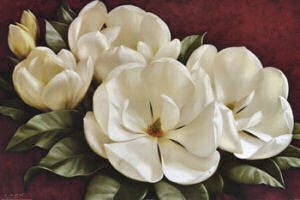 [Igor+Levashov+magnolias.jpg]