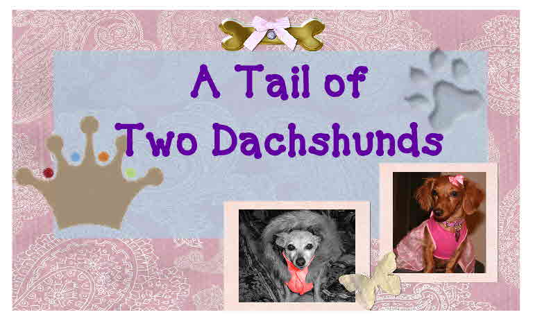 a tail of two dachshunds