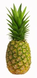 [pineapple.bmp]