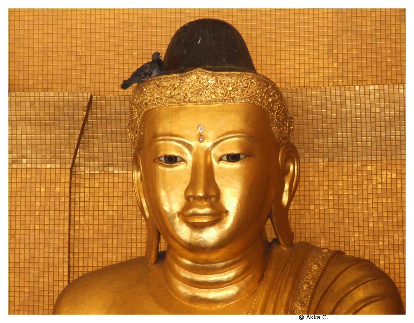[Golden+Buddha+2.jpg]