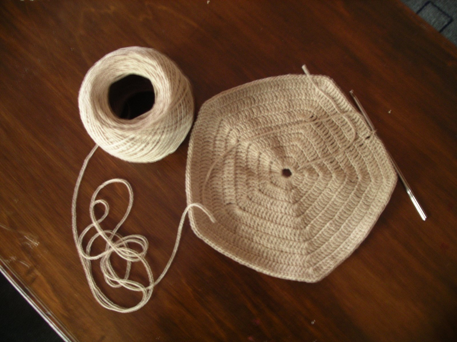 [2008-02-15-crochet+004.JPG]