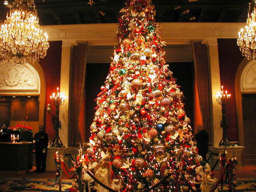 [Drake+Christmas+tree.jpg]