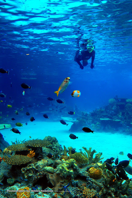 Underwater photography,Australia