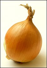 [onion.bmp]