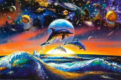 [Dolphin-Universe.jpg]
