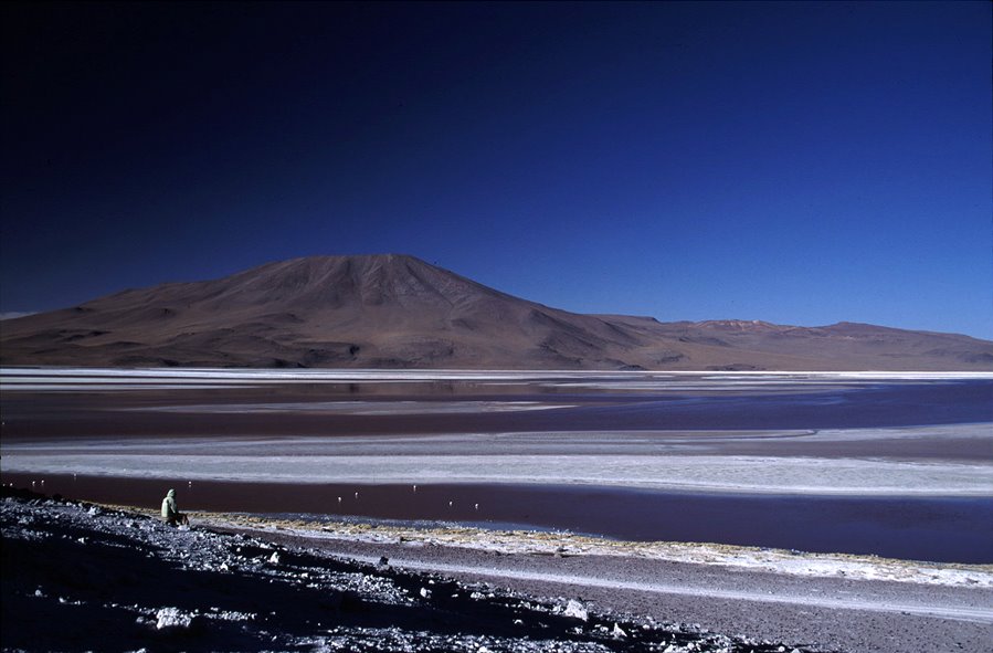 [Bolivia+-+Lagoa+Colorada.JPG]