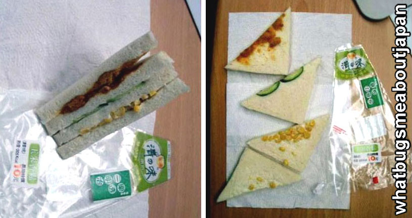 [japanese-sandwich.jpg]